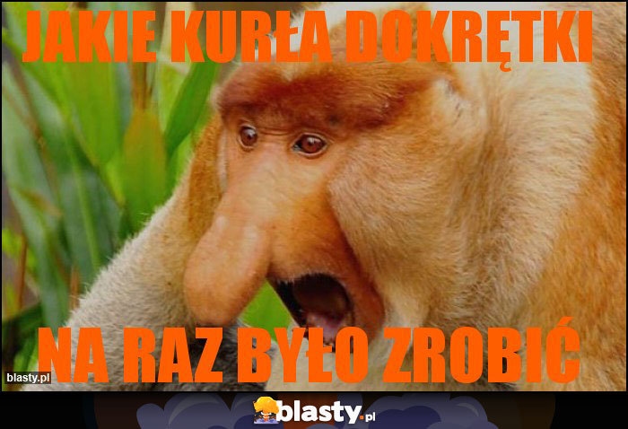 jakie kurła dokrętki jakie kurła dokrętki