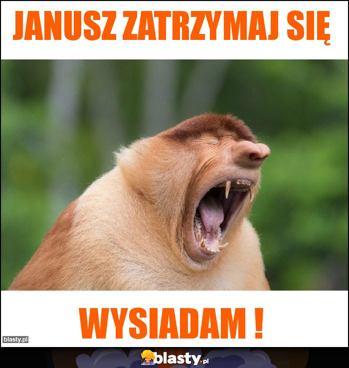 Janusz zatrzymaj się Janusz zatrzymaj się