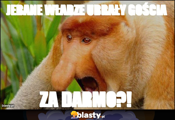 Jebane władze ubrały gościa Jebane władze ubrały gościa