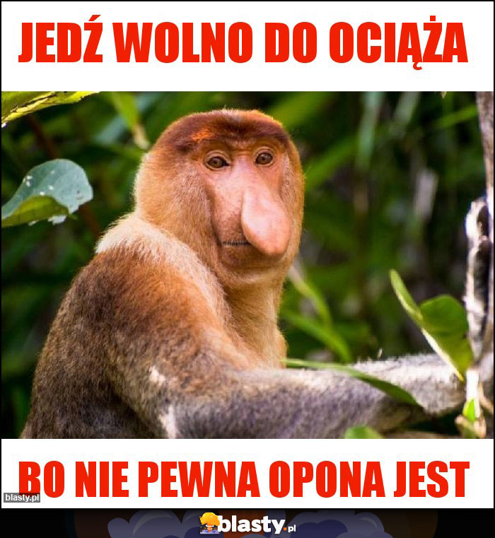 Jedź wolno do Ociąża Jedź wolno do Ociąża
