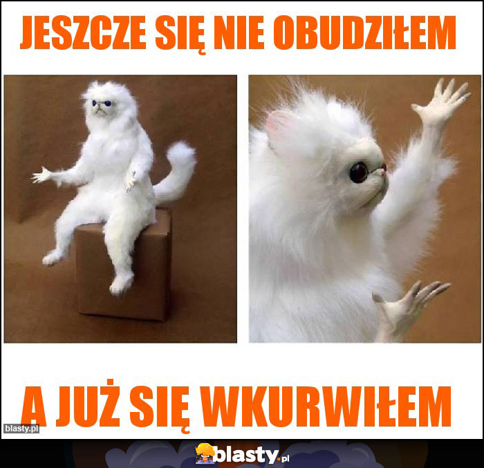 Jeszcze się nie obudziłem Jeszcze się nie obudziłem