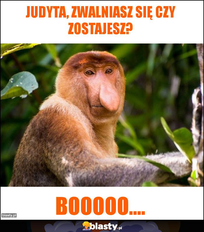 Judyta, zwalniasz się czy zostajesz? Judyta, zwalniasz się czy zostajesz?