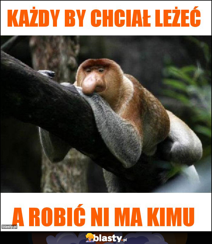 Każdy by chciał leżeć Każdy by chciał leżeć