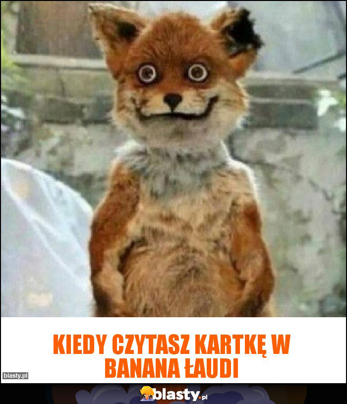 Kiedy czytasz kartkę w Banana Łaudi Kiedy czytasz kartkę w Banana Łaudi
