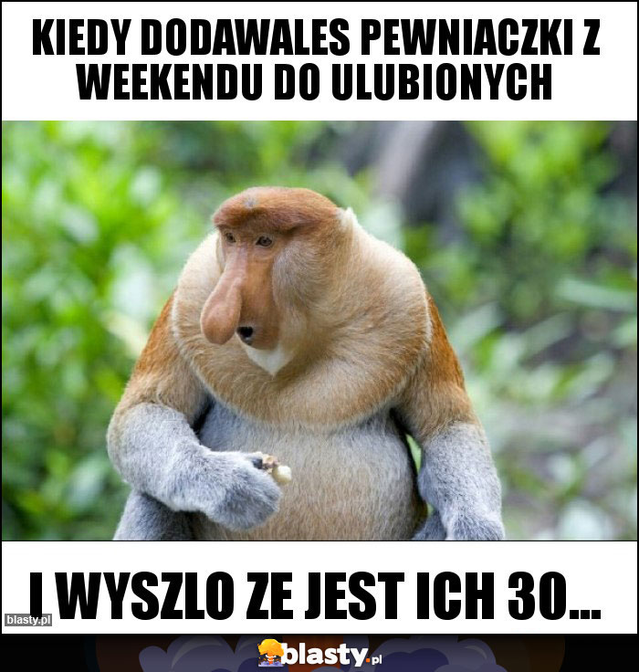 Kiedy dodawales pewniaczki z weekendu do ulubionych Kiedy dodawales pewniaczki z weekendu do ulubionych