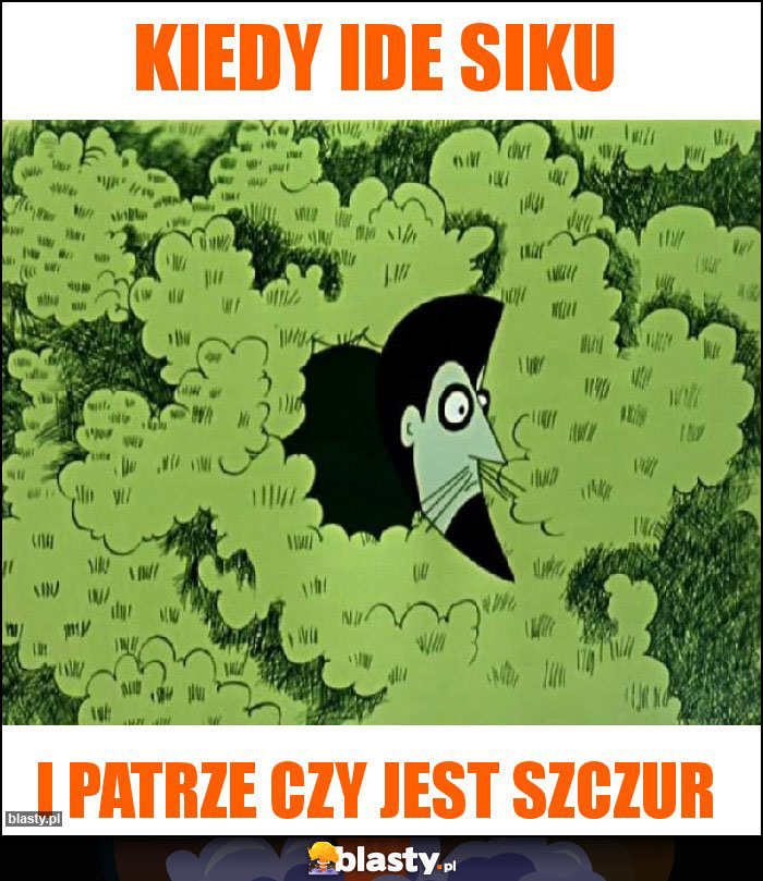 Kiedy ide siku Kiedy ide siku