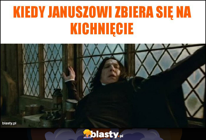 kiedy januszowi zbiera się na kichnięcie kiedy januszowi zbiera się na kichnięcie