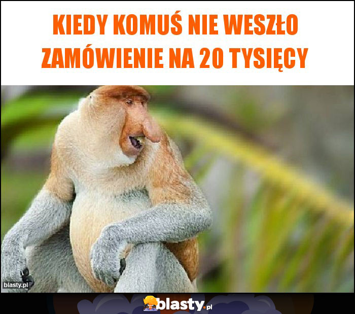 Kiedy komuś nie weszło zamówienie na 20 tysięcy Kiedy komuś nie weszło zamówienie na 20 tysięcy