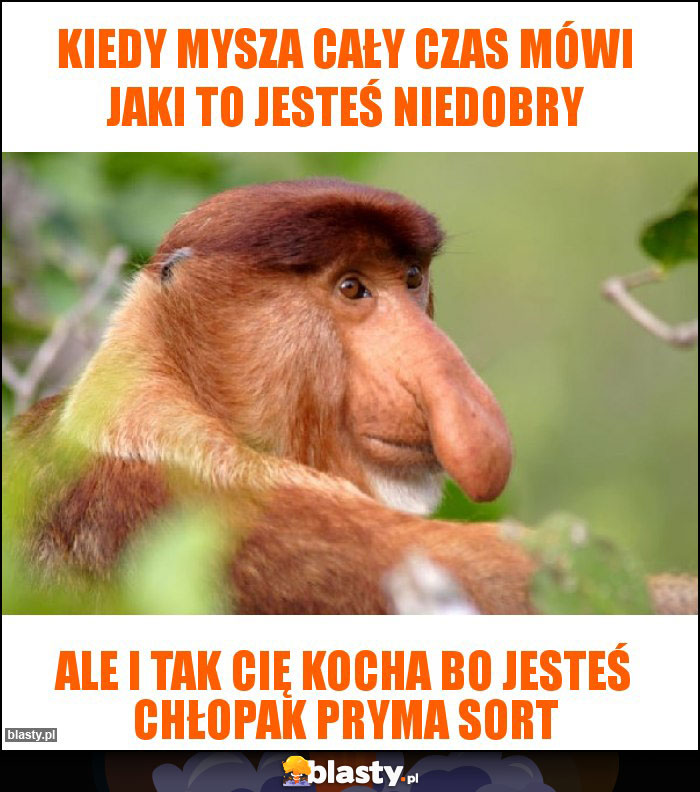 Kiedy Mysza cały czas mówi jaki to jesteś niedobry Kiedy Mysza cały czas mówi jaki to jesteś niedobry