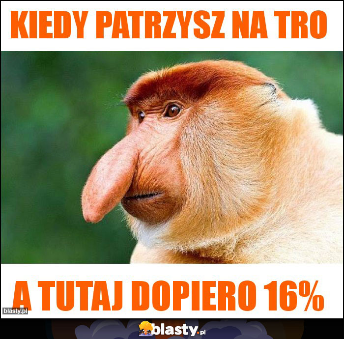 Kiedy patrzysz na TRO Kiedy patrzysz na TRO