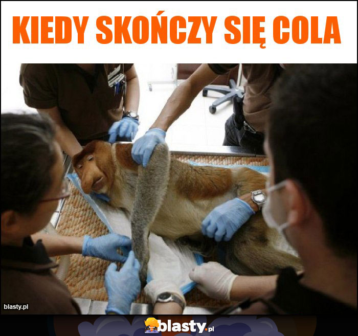 Kiedy skończy się cola Kiedy skończy się cola