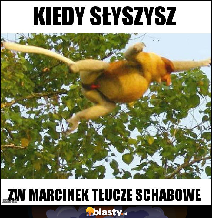 Kiedy słyszysz Kiedy słyszysz