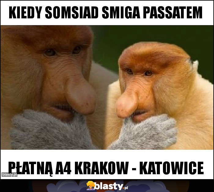 KIEDY SOMSIAD SMIGA PASSATEM KIEDY SOMSIAD SMIGA PASSATEM