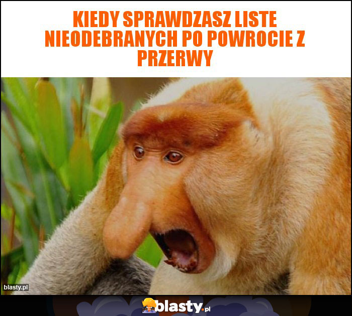 Kiedy sprawdzasz liste nieodebranych po powrocie z przerwy Kiedy sprawdzasz liste nieodebranych po powrocie z przerwy