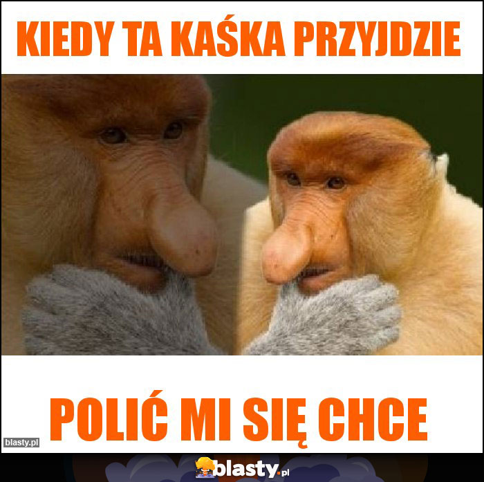 Kiedy ta Kaśka przyjdzie Kiedy ta Kaśka przyjdzie