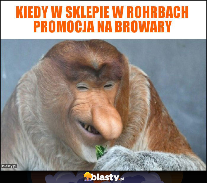 kiedy w sklepie w rohrbach promocja na browary kiedy w sklepie w rohrbach promocja na browary