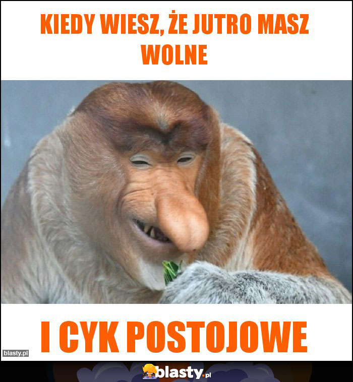 Kiedy wiesz, że jutro masz wolne Kiedy wiesz, że jutro masz wolne