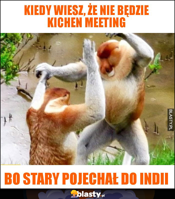 Kiedy wiesz, że nie będzie kichen meeting Kiedy wiesz, że nie będzie kichen meeting