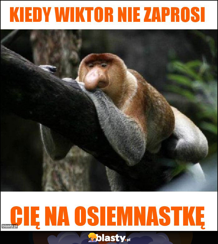Kiedy Wiktor nie zaprosi Kiedy Wiktor nie zaprosi