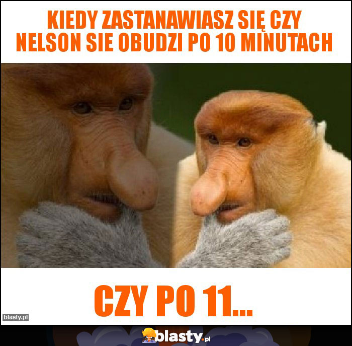Kiedy zastanawiasz się czy Nelson sie obudzi po 10 minutach Kiedy zastanawiasz się czy Nelson sie obudzi po 10 minutach