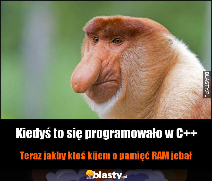 Kiedyś to się programowało w C++ Kiedyś to się programowało w C++