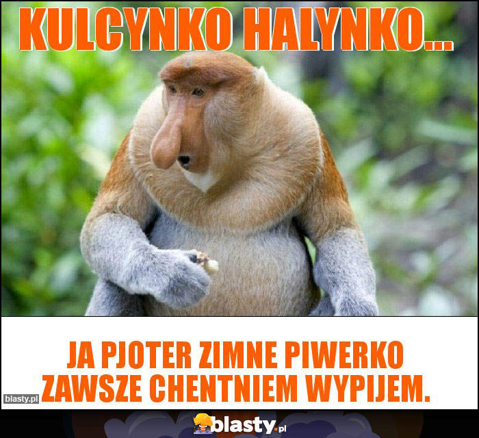 Kulcynko Halynko... Kulcynko Halynko...