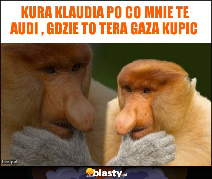 kura klaudia po co mnie te audi , gdzie to tera gaza kupic kura klaudia po co mnie te audi , gdzie to tera gaza kupic