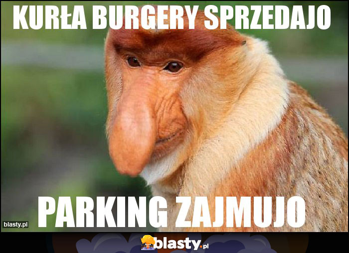 Kurła burgery sprzedajo Kurła burgery sprzedajo