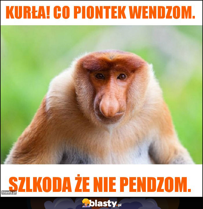 Kurła! Co piontek wendzom. Kurła! Co piontek wendzom.