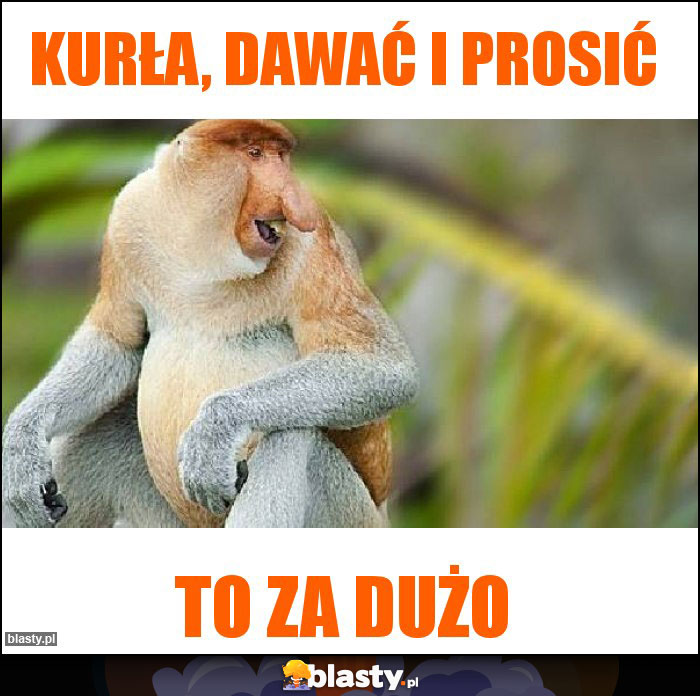 Kurła, dawać i prosić Kurła, dawać i prosić