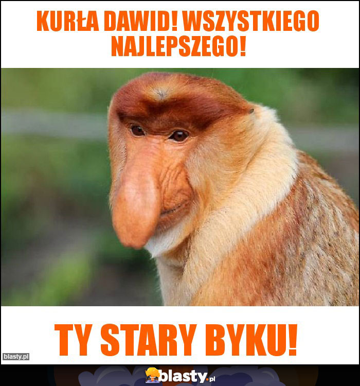 Kurła dawid! Wszystkiego najlepszego! Kurła dawid! Wszystkiego najlepszego!