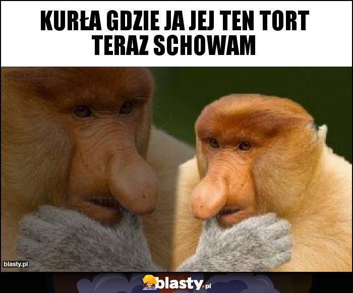 kurła gdzie ja jej ten tort teraz schowam kurła gdzie ja jej ten tort teraz schowam
