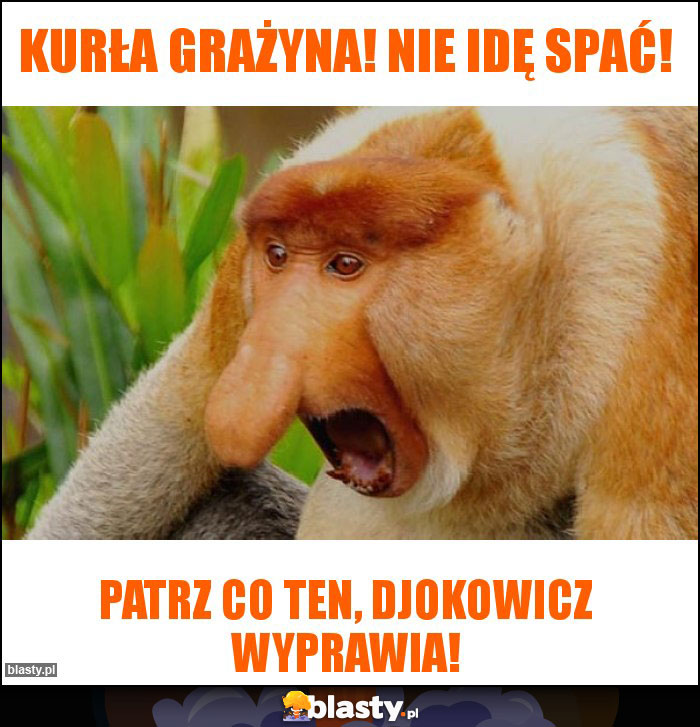 Kurła Grażyna! Nie idę spać! Kurła Grażyna! Nie idę spać!