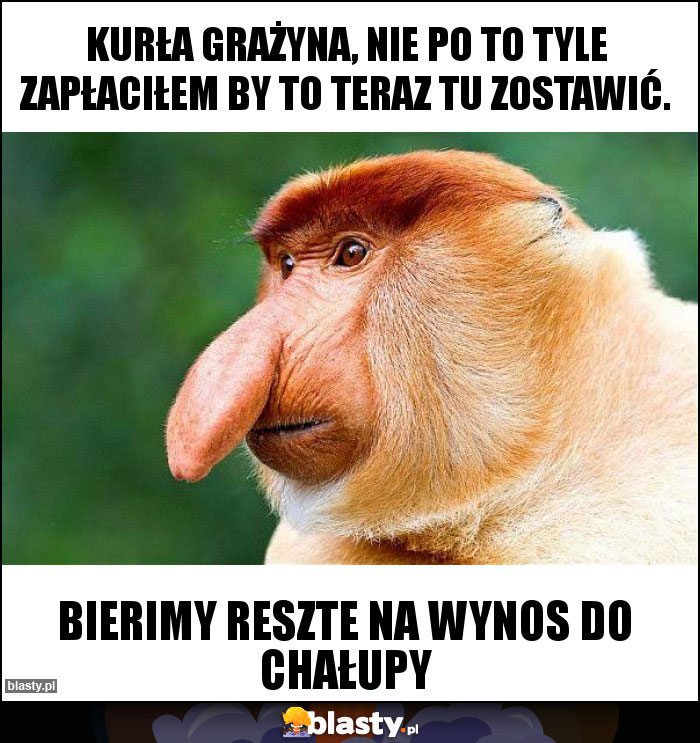 Kurła Grażyna, nie po to tyle zapłaciłem by to teraz tu zostawić. Kurła Grażyna, nie po to tyle zapłaciłem by to teraz tu zostawić.