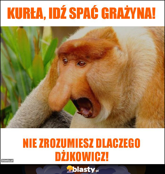 Kurła, idź spać Grażyna! Kurła, idź spać Grażyna!