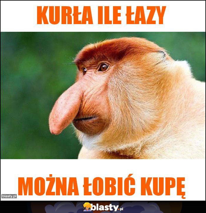 Kurła ile łazy Kurła ile łazy