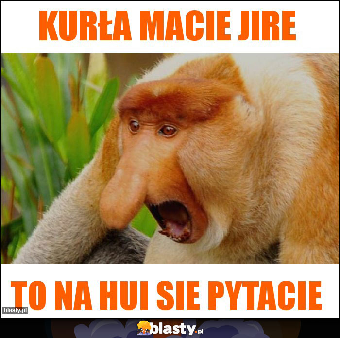Kurła macie Jire Kurła macie Jire