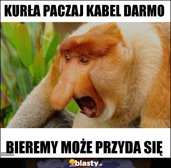 KURŁA PACZAJ KABEL DARMO KURŁA PACZAJ KABEL DARMO
