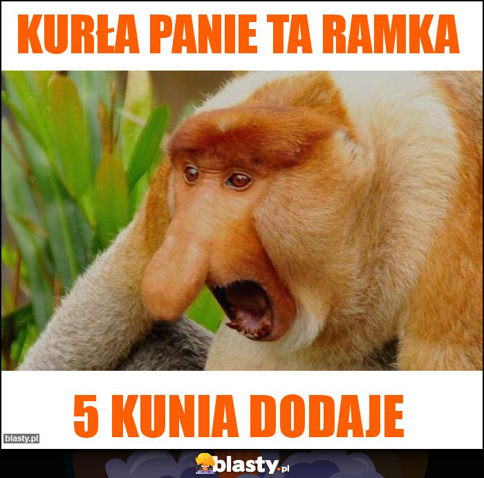 Kurła panie ta ramka Kurła panie ta ramka