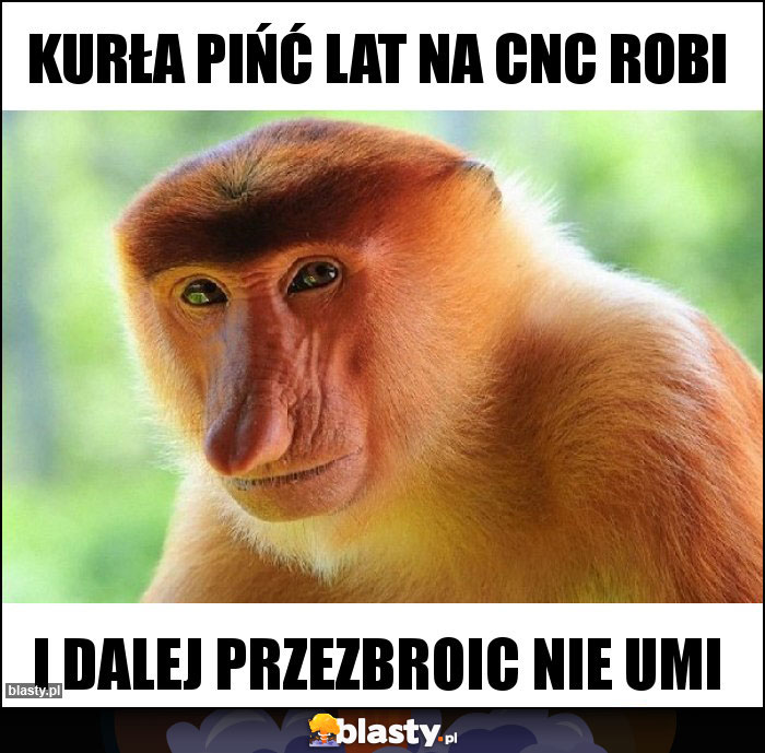 Kurła pińć lat na CNC robi Kurła pińć lat na CNC robi