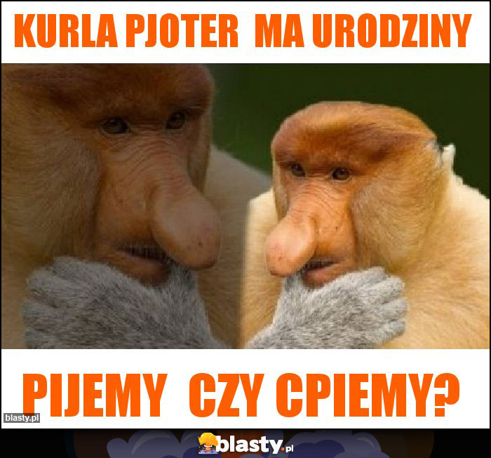 Kurla Pjoter ma urodziny Kurla Pjoter ma urodziny