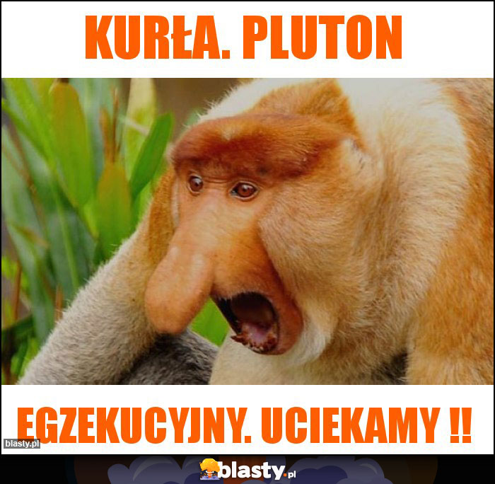 Kurła. Pluton Kurła. Pluton