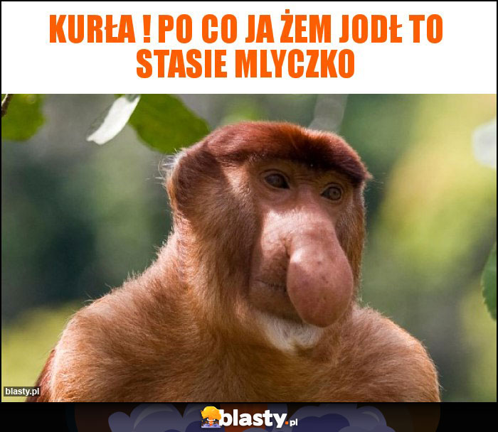 Kurła ! Po co ja żem jodł to stasie mlyczko Kurła ! Po co ja żem jodł to stasie mlyczko