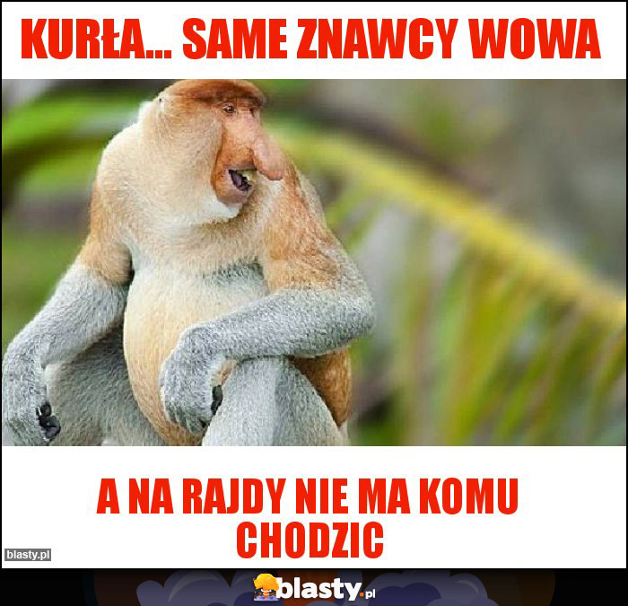Kurła... same znawcy wowa