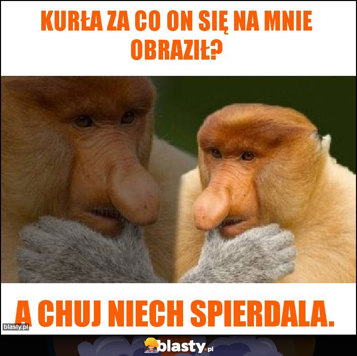 Kurła za co on się na mnie obraził? Kurła za co on się na mnie obraził?