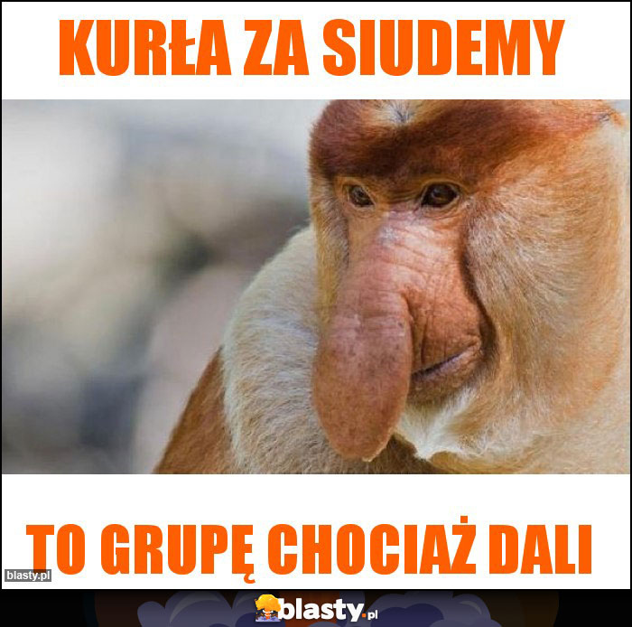Kurła za Siudemy Kurła za Siudemy