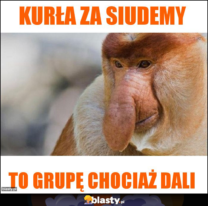 Kurła za Siudemy