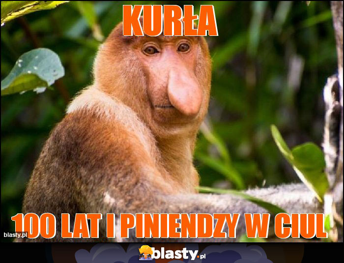 kurła