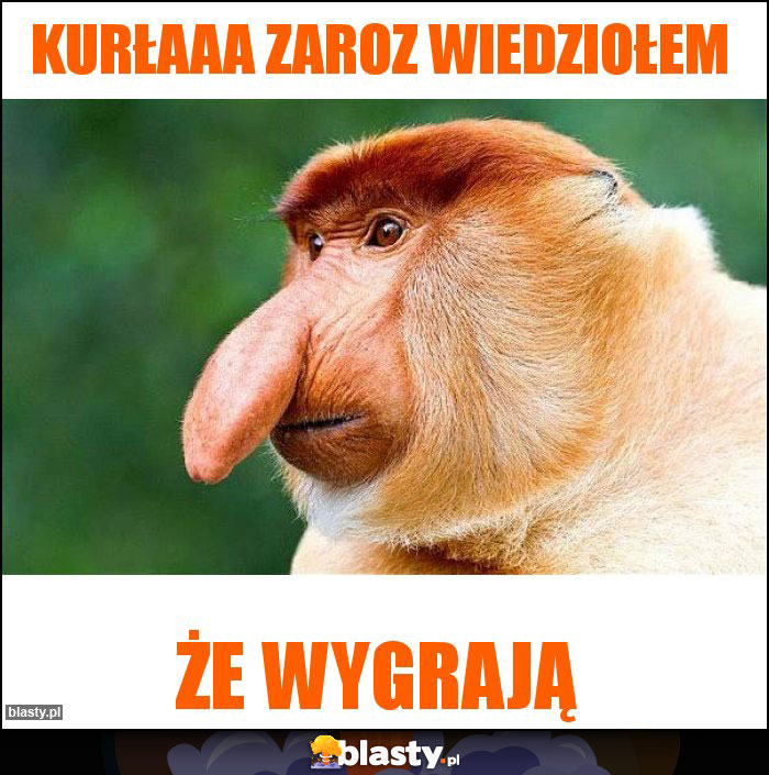 KURŁAAA ZAROZ WIEDZIOŁEM KURŁAAA ZAROZ WIEDZIOŁEM