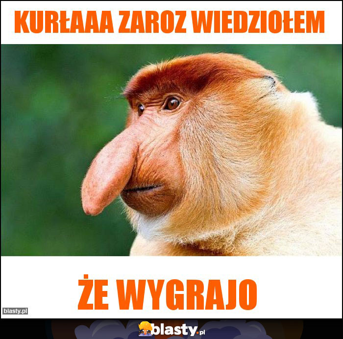 KURŁAAA ZAROZ WIEDZIOŁEM KURŁAAA ZAROZ WIEDZIOŁEM